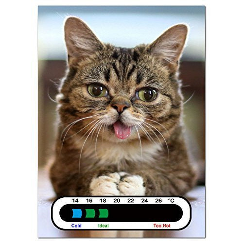 Baby Safe Ideas Meow Cat Nursery Room Thermometer Card