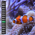 Aquarium Thermometer